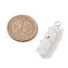 Natural Quartz Crystal Double Terminal Pointed Pendants PALLOY-JF02673-05-3