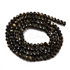 Natural Golden Sheen Obsidian Beads Strands G-G139-B24-01-3
