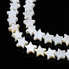 Natural Freshwater Shell Beads Strands SHEL-S278-01A-01-3