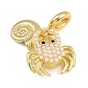 Brass Pave ABS Imitation Pearl Crab Shell Shape European Dangle Charms KK-I352-11G-2