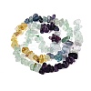 Natural Fluorite & Amethyst & Citrine(Heated) Beads Strands G-N371-02A-01-4