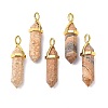 Natural Picture Jasper Pointed Pendants G-G025-01G-39-1
