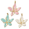 304 Stainless Steel Pendants STAS-D224-07G-04-1