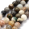 Natural Bamboo Leaf Agate Beads Strands G-G763-03-10mm-1