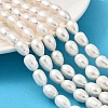 Natural Cultured Freshwater Pearl Beads Strands PEAR-I007-01E-05A-1