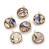 Natural Paua Shell Pendants KK-K252-06G-02-2