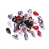 Electroplate Czech Glass Beads GLAA-O018-15-2