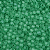 FGB Frosted Transparent Glass Seed Beads SEED-N013-04A-09-3