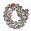 Natural Aqua Terra Jasper Beads Strands G-S366-014-2