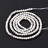 Natural Howlite Beads Strands G-H273-02A-4