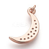 Brass Micro Pave Cubic Zirconia Charms ZIRC-E152-27RG-RS-2