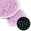 FGB Grade A Transparent Glass Seed Beads SEED-Q040-03A-06-1