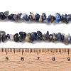 Natural Sodalite Chips Beads Strands LS-F024-7