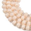 Opaque Glass Beads Strands GLAA-P076-01C-06-3