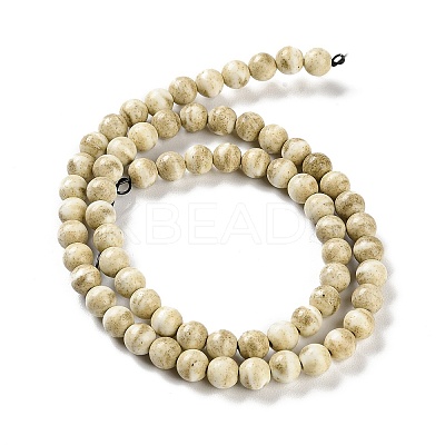 Natural Rainbow Alashan Agate Beads Strands G-NH0022-A04-01-1