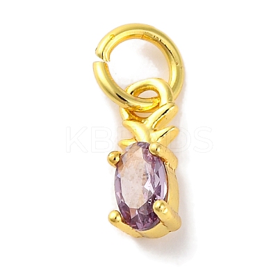 Rack Plating Brass Micro Pave Cubic Zirconia Charms KK-F881-03G-08-1