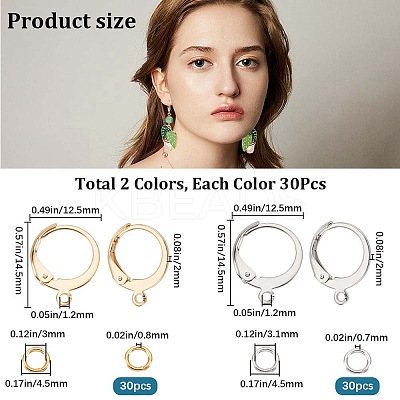60Pcs 2 Color 304 Stainless Steel Leverback Earring Findings DIY-CN0002-52-1