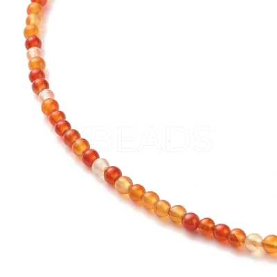 Natural Carnelian Beaded Necklaces for Women NJEW-JN03789-02-1