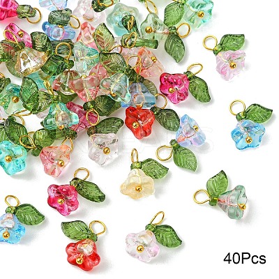 Glass & Acrylic Charms FIND-YW0006-91A-1