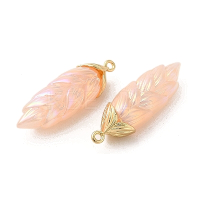 Rainbow Iridescent Plating Resin Pendants LS-RESI-C047-03A-G-1
