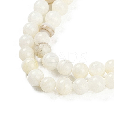 Natural Cultured Freshwater Shell Beads Strands BSHE-H109-03C-1