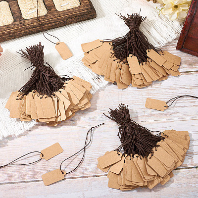 500Pcs Kraft Paper Blank Price Tags with Cord CDIS-TA0001-44-1