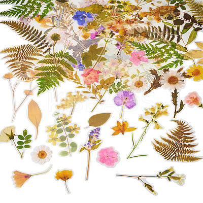 4 Bags 4 Styles Plant PET Adhesive Waterproof Stickers DIY-TA0009-84-1