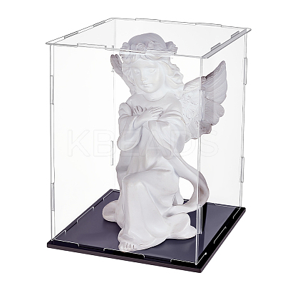 Acrylic Display Boxes CON-WH0089-163A-1