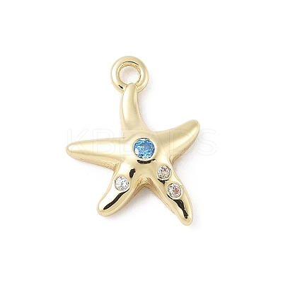 Brass Micro Pave Cubic Zirconia Charms LS-KK-M326-20B-G-1