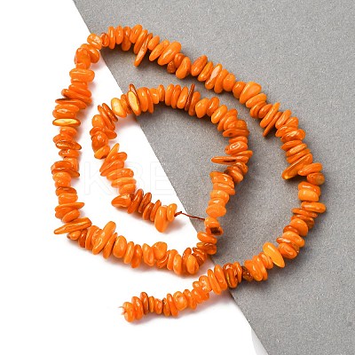Natural Freshwater Shell Beads Strands BSHE-I016-01C-1