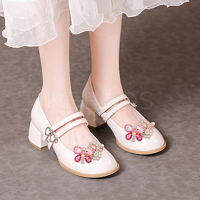2Pcs Alloy Rhinestone Detachable Shoe Buckle Clips FIND-AR0004-59-1