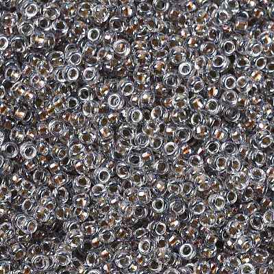 MIYUKI Round Rocailles Beads SEED-G009-RR3202-1