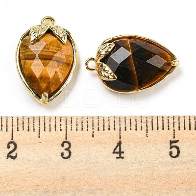 Natural Tiger Eye Faceted Pendants G-M431-06G-11-1
