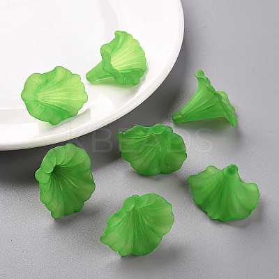 Transparent Acrylic Beads X-BSF796-C07-1