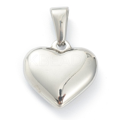 304 Stainless Steel Pendants X-STAS-P278-01N-P-1