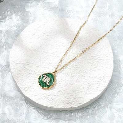 304 Stainless Steel Micro Pave Cubic Zirconia constellation Pendant Necklaces NJEW-R021-01G-06-1