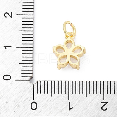 Brass Micro Pave Cubic Zirconia Charms KK-S510-13G-1