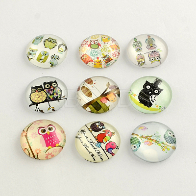 Cartoon Owl Pattern Flatback Half Round/Dome Glass Cabochons GGLA-R026-10mm-06-1