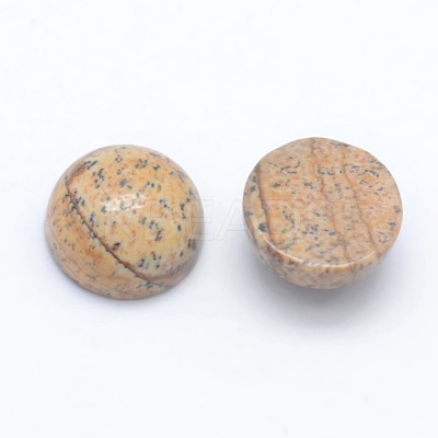 Natural Picture Jasper Cabochons G-E492-H-04-1