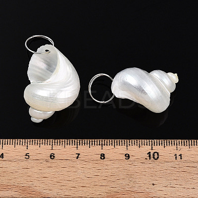 Natural Spiral Shell Pendants SHEL-N036-11-1