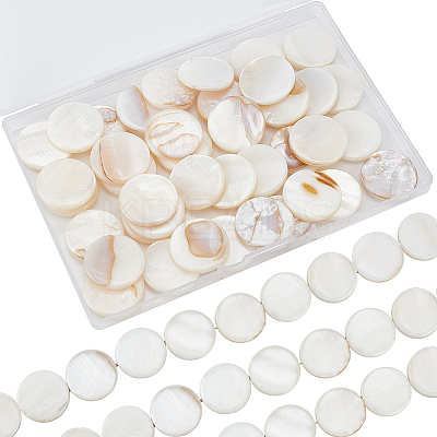 2 Strands Natural Freshwater Shell Beads BSHE-SC0001-20B-1