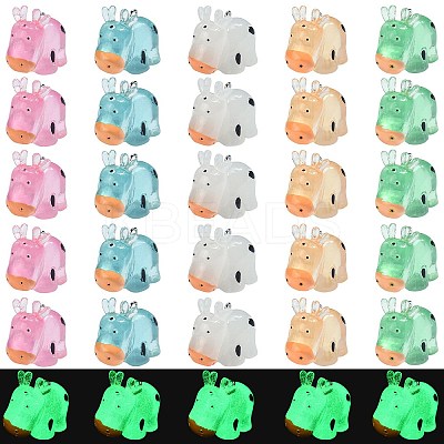 30Pcs 5 Colors Luminous Resin Pendants RESI-SZ0003-24-1