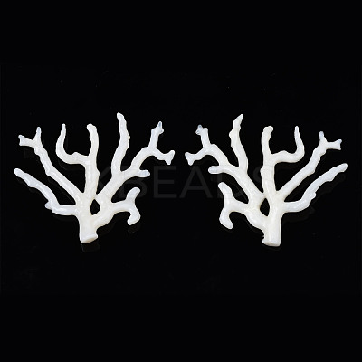 Acrylic Big Pendants OACR-N131-010B-B02-1