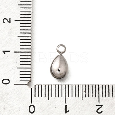 304 Stainless Steel Pendants STAS-Q346-04P-06-1