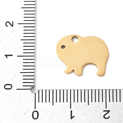 304 Stainless Steel Pendants KK-D503-24G-1