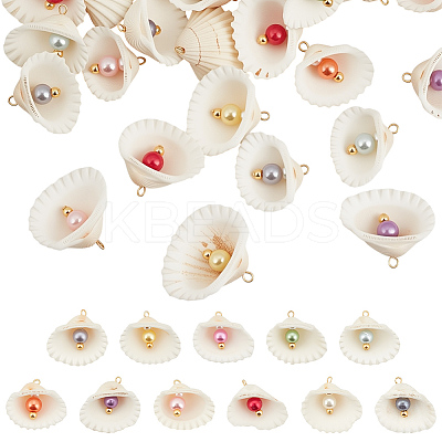 66Pcs 11 Styles Natural Shell Big Pendants PALLOY-MA00002-1