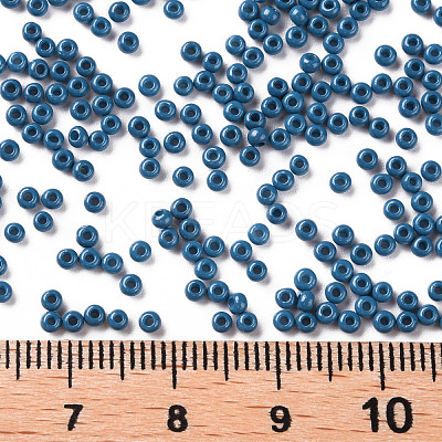 11/0 FGB Grade A Baking Paint Glass Seed Beads X-SEED-N001-A-1013-1