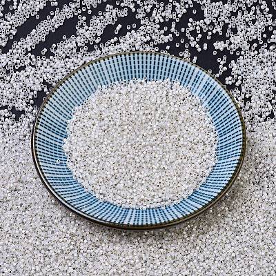 MIYUKI Delica Beads SEED-J020-DB0221-1