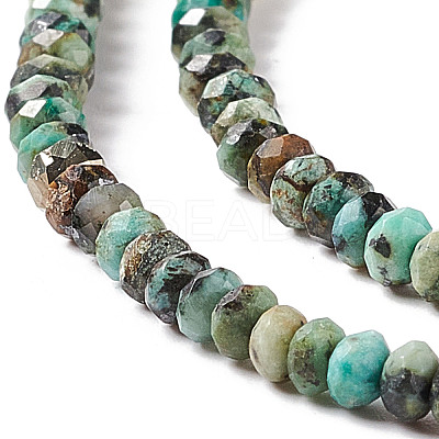 Natural African Turquoise(Jasper) Beads Strands LS-G-F717-02A-1