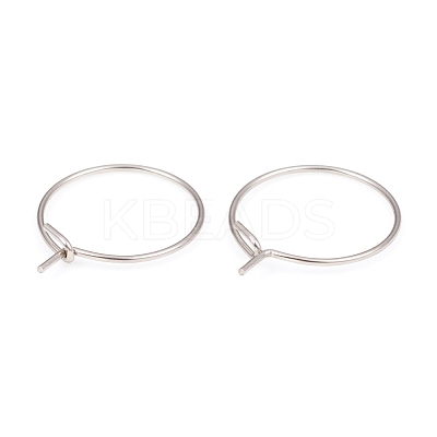 316L Surgical Stainless Steel Hoop Earring Findings STAS-G229-06P-1